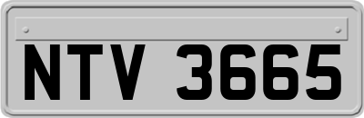 NTV3665