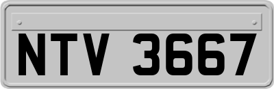 NTV3667
