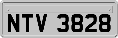 NTV3828