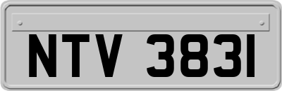 NTV3831