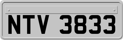 NTV3833