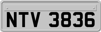 NTV3836