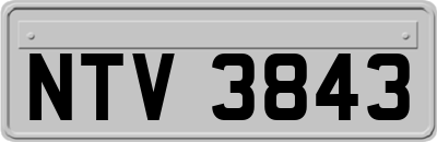 NTV3843