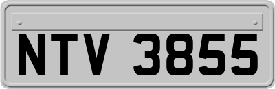 NTV3855