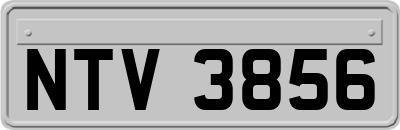 NTV3856