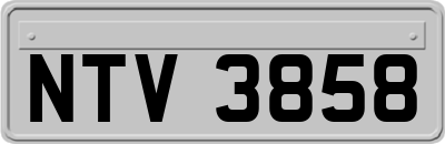 NTV3858