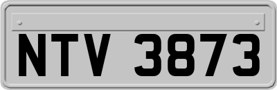 NTV3873