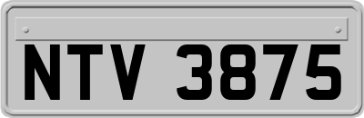 NTV3875