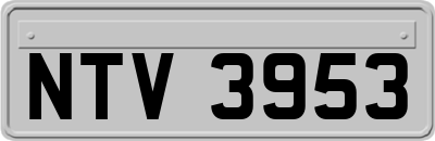 NTV3953