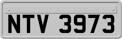 NTV3973