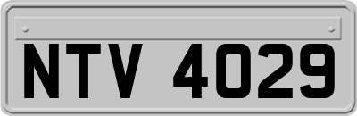NTV4029
