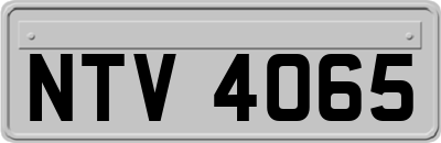NTV4065