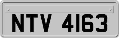 NTV4163