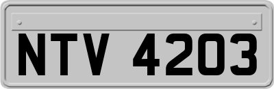 NTV4203