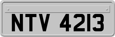 NTV4213