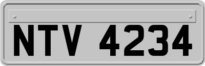 NTV4234