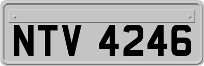 NTV4246