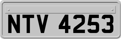 NTV4253