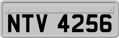 NTV4256