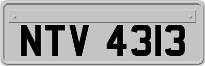 NTV4313