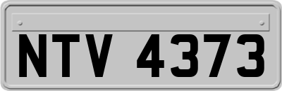 NTV4373