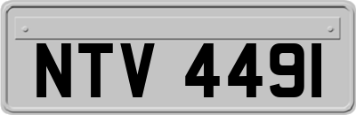 NTV4491