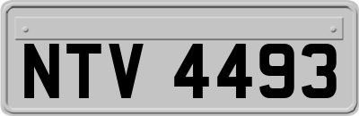 NTV4493