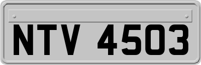 NTV4503
