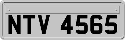 NTV4565