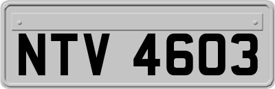 NTV4603