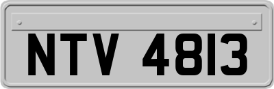 NTV4813