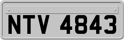 NTV4843