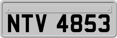 NTV4853