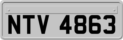 NTV4863