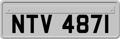 NTV4871