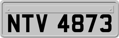 NTV4873