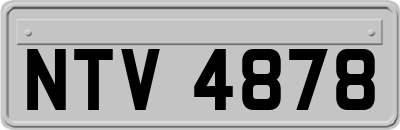NTV4878