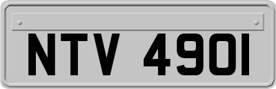 NTV4901