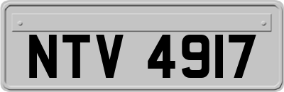NTV4917