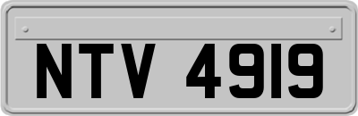 NTV4919