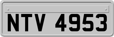 NTV4953