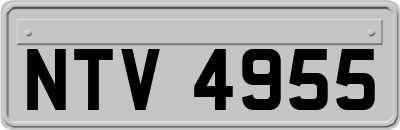 NTV4955