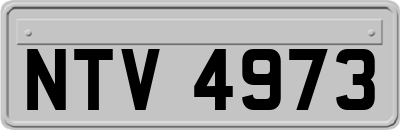 NTV4973