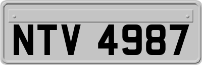 NTV4987