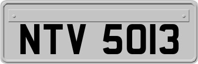 NTV5013