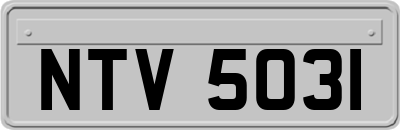 NTV5031