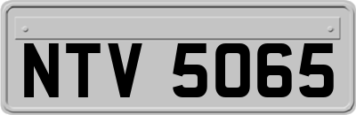 NTV5065