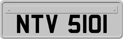 NTV5101