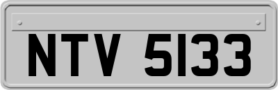 NTV5133
