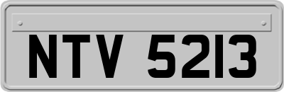 NTV5213